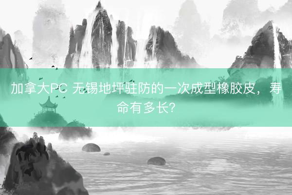 加拿大PC 无锡地坪驻防的一次成型橡胶皮，寿命有多长？