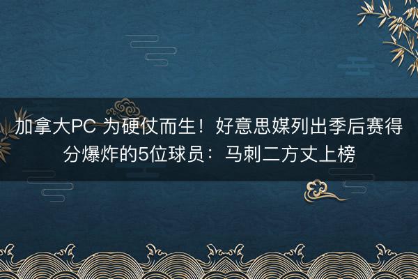 加拿大PC 为硬仗而生！好意思媒列出季后赛得分爆炸的5位球员：马刺二方丈上榜