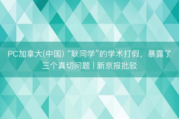 PC加拿大(中国) “耿同学”的学术打假，暴露了三个真切问题 | 新京报批驳