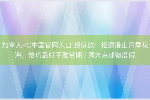 加拿大PC中国官网入口 超纵欲！相遇漫山月季花海，恰巧最好不雅赏期 | 周末京郊微度假
