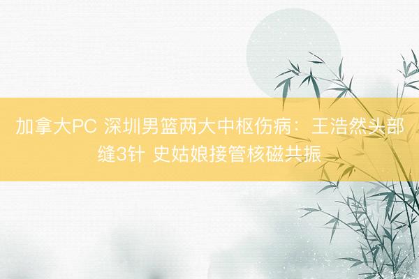 加拿大PC 深圳男篮两大中枢伤病：王浩然头部缝3针 史姑娘接管核磁共振