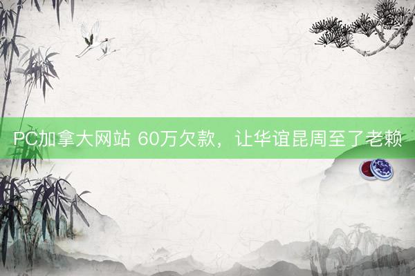 PC加拿大网站 60万欠款，让华谊昆周至了老赖