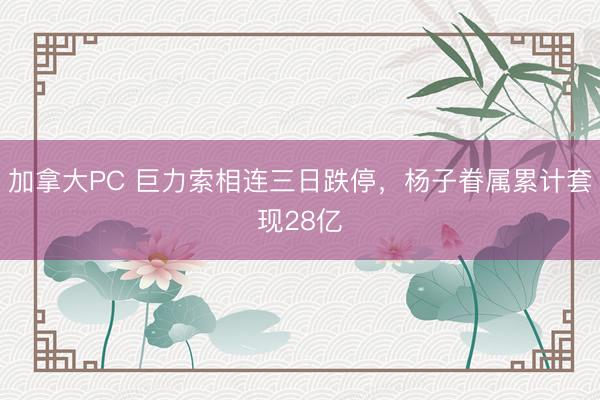 加拿大PC 巨力索相连三日跌停，杨子眷属累计套现28亿