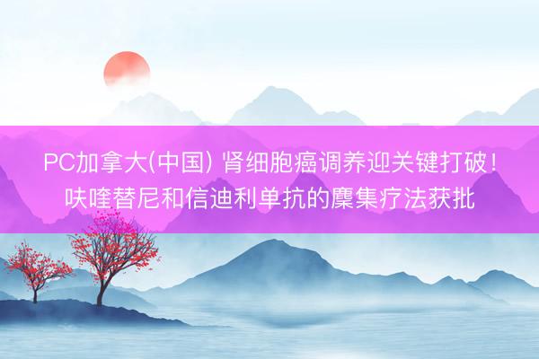 PC加拿大(中国) 肾细胞癌调养迎关键打破！呋喹替尼和信迪利单抗的麇集疗法获批