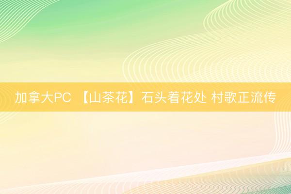 加拿大PC 【山茶花】石头着花处 村歌正流传