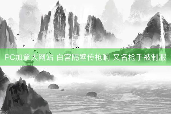 PC加拿大网站 白宫隔壁传枪响 又名枪手被制服