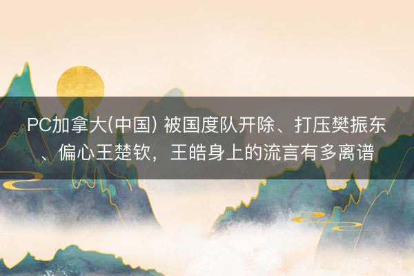 PC加拿大(中国) 被国度队开除、打压樊振东、偏心王楚钦，王皓身上的流言有多离谱