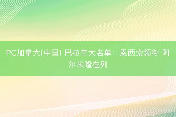 PC加拿大(中国) 巴拉圭大名单：恩西索领衔 阿尔米隆在列