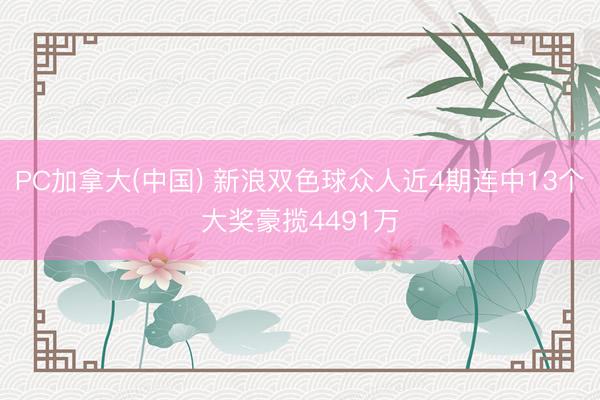 PC加拿大(中国) 新浪双色球众人近4期连中13个大奖豪揽4491万