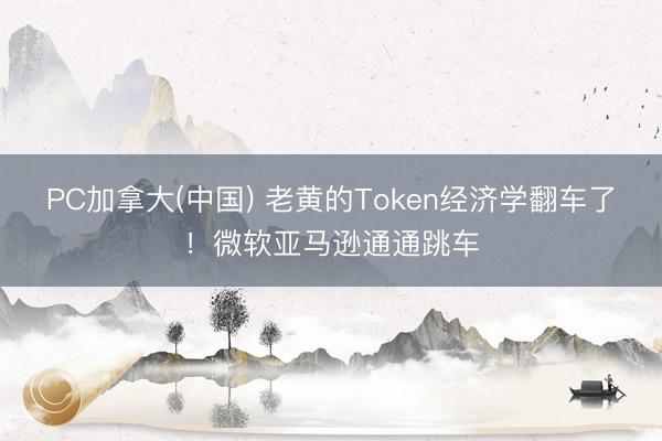 PC加拿大(中国) 老黄的Token经济学翻车了！微软亚马逊通通跳车