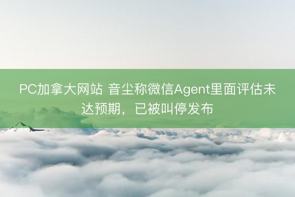 PC加拿大网站 音尘称微信Agent里面评估未达预期，已被叫停发
