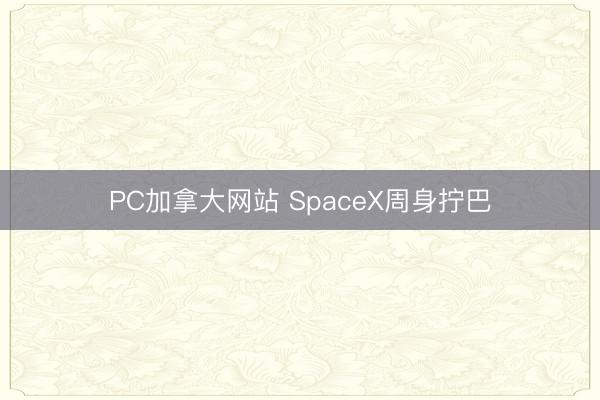 PC加拿大网站 SpaceX周身拧巴