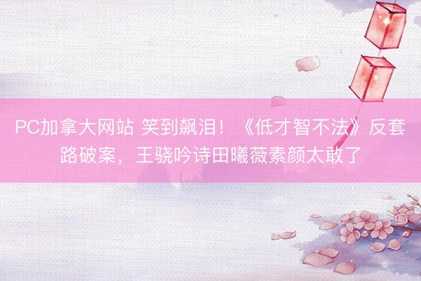 PC加拿大网站 笑到飙泪！《低才智不法》反套路破案，王骁吟诗田曦薇素颜太敢了