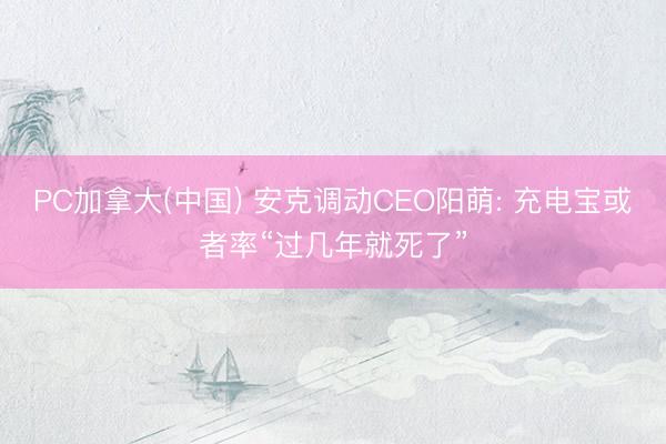 PC加拿大(中国) 安克调动CEO阳萌: 充电宝或者率“过几年就死了”