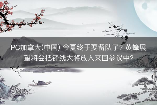 PC加拿大(中国) 今夏终于要留队了? 黄蜂展望将会把锋线大将放入来回参议中?