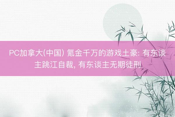 PC加拿大(中国) 氪金千万的游戏土豪: 有东谈主跳江自裁， 有东谈主无期徒刑