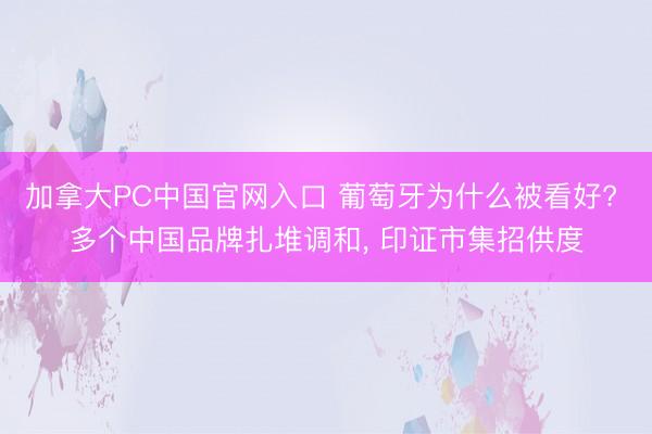 加拿大PC中国官网入口 葡萄牙为什么被看好? 多个中国品牌扎堆调和， 印证市集招供度