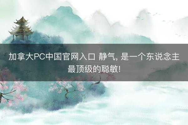 加拿大PC中国官网入口 静气， 是一个东说念主最顶级的聪敏!