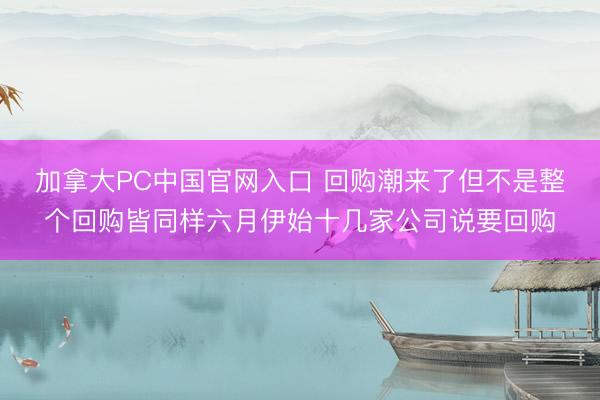 加拿大PC中国官网入口 回购潮来了但不是整个回购皆同样六月伊始十几家公司说要回购