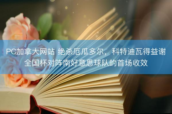PC加拿大网站 绝杀厄瓜多尔，科特迪瓦得益谢全国杯对阵南好意思球队的首场收效