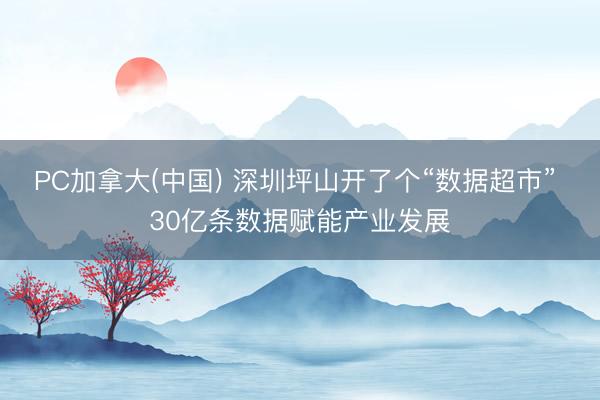 PC加拿大(中国) 深圳坪山开了个“数据超市” 30亿条数据赋能产业发展