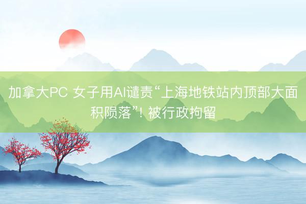 加拿大PC 女子用AI谴责“上海地铁站内顶部大面积陨落”! 被行政拘留
