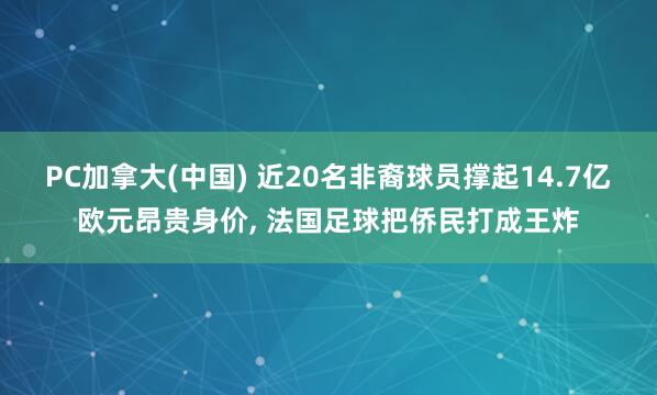 PC加拿大(中国) 近20名非裔球员撑起14.7亿欧元昂贵身价， 法国足球把侨民打成王炸