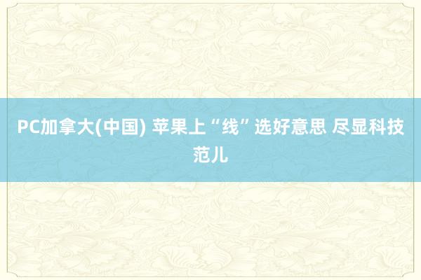 PC加拿大(中国) 苹果上“线”选好意思 尽显科技范儿