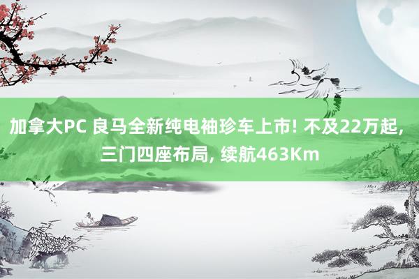 加拿大PC 良马全新纯电袖珍车上市! 不及22万起， 三门四座布局， 续航463Km