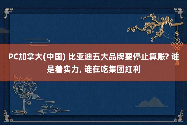 PC加拿大(中国) 比亚迪五大品牌要停止算账? 谁是着实力， 谁在吃集团红利